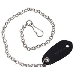 Gliederkette Mit Karabiner